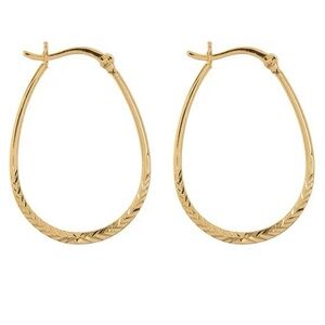 NEW ARGENTO VIVO 18K Gold Plated Sterling Silver Horseshoe 33m Hoop Earrings